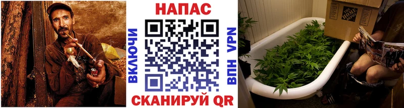 Где продают наркотики Уссурийск А ПВП  COCAIN  Мефедрон  kraken ONION  Гашиш 