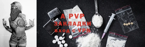 индика Алексин