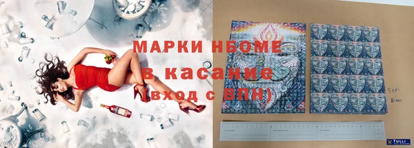 индика Алексин
