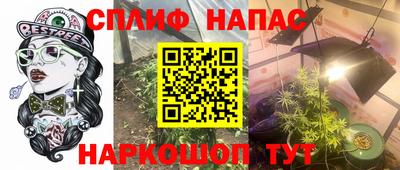 наркотики Новозыбков