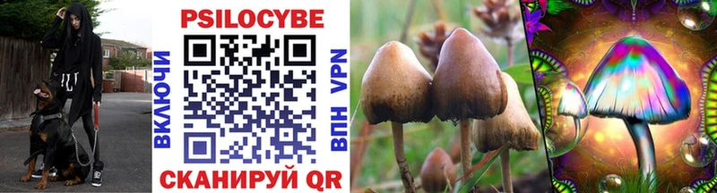 Галлюциногенные грибы Psilocybine cubensis  ОМГ ОМГ вход  Уссурийск 