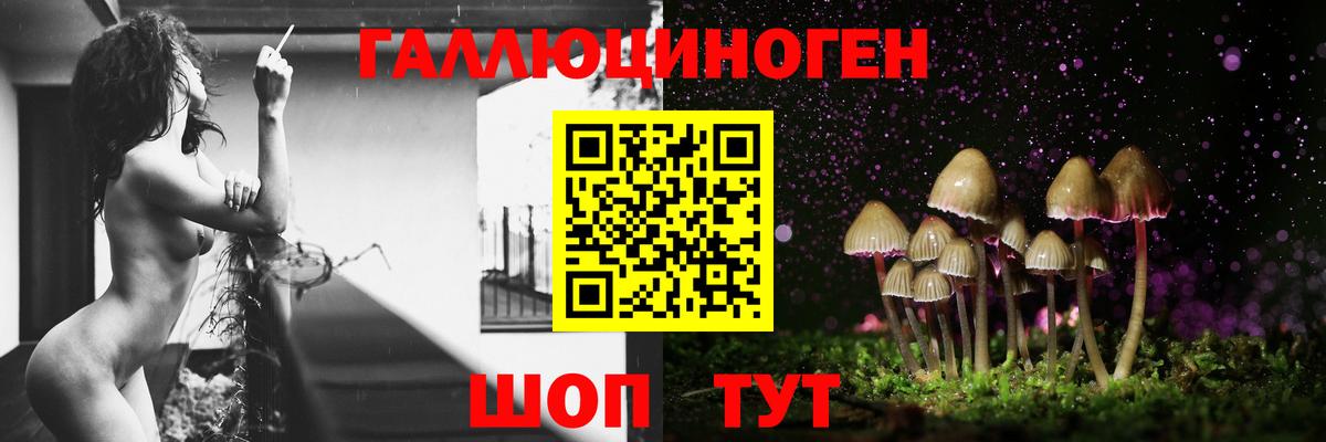 Галлюциногенные грибы Magic Shrooms  Псилоцибиновые грибы мухоморы  Вход с VPN  Уссурийск 